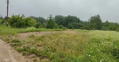 Terrain dans Putcynski siel ski Saviet, Biélorussie