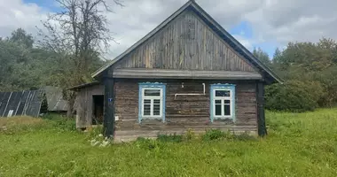 Dom w Dziamidavicki sielski Saviet, Białoruś