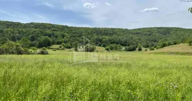 Plot of land in Tbilisi, Georgia