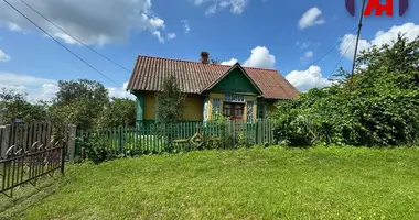 House in Krasnaye, Belarus