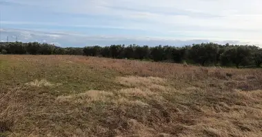 Terrain dans Paralia Dionysiou, Grèce