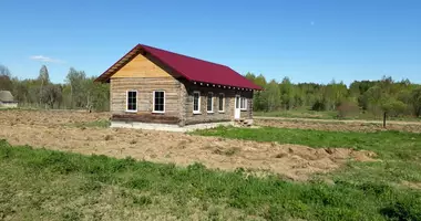Dom w Moschanickiy selskiy Sovet, Białoruś