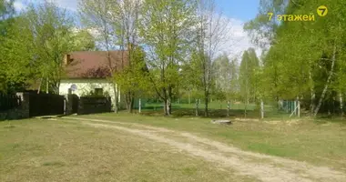 Dom w Sialiecki sielski Saviet, Białoruś