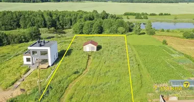 House in Kamsamoliec, Belarus