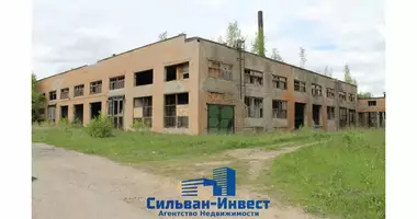 Manufacture 15 000 m² in Lebedevo, Belarus