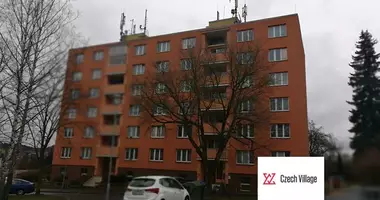 Wohnung 1 Zimmer in Bezirk Karlsbad, Tschechien
