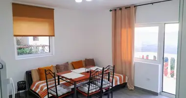 Apartamento 1 habitacion en Gradiosnica, Montenegro