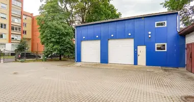 Commercial property 117 m² in Birzai, Lithuania