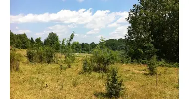 Plot of land in Irinovac, Croatia