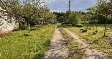 Haus in Radaskovicki siel ski Saviet, Weißrussland