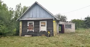 House in Maryina Horka, Belarus