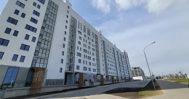 Appartement 2 chambres dans Minsk, Bélarus