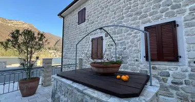 Propiedad comercial 300 m² en Josice, Montenegro