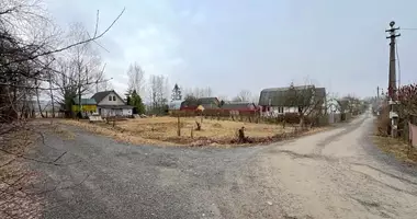 Plot of land in Lasanski sielski Saviet, Belarus
