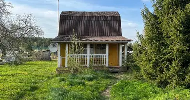 Terrain dans Tosnenskoe gorodskoe poselenie, Russie