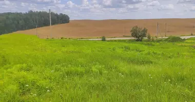 Maison dans Usiazski siel ski Saviet, Biélorussie