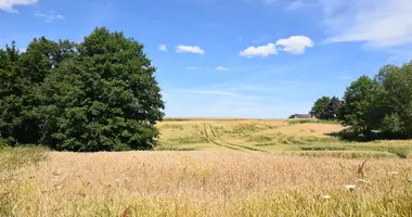 Terrain dans Liudvinavas, Lituanie