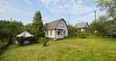 House in Rakauski sielski Saviet, Belarus