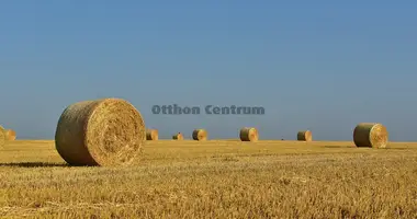 Terrain dans Janoshalma, Hongrie