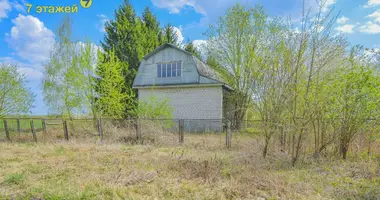 House in Dabryneuski selski Savet, Belarus