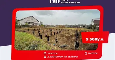 Plot of land in Piekalinski sielski Saviet, Belarus
