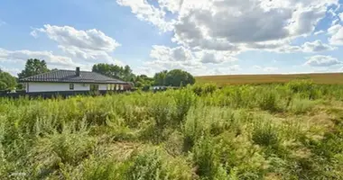 House in Kosina, Belarus