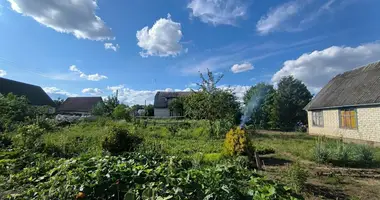 House in Fanipalski sielski Saviet, Belarus