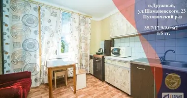 1 room apartment in Druzhny, Belarus