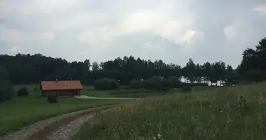 Terrain dans Alytus, Lituanie