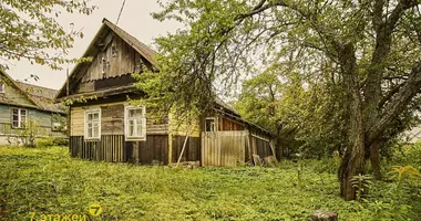 House in Piatryskauski sielski Saviet, Belarus