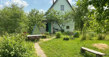 Plot of land in Stankauski sielski Saviet, Belarus