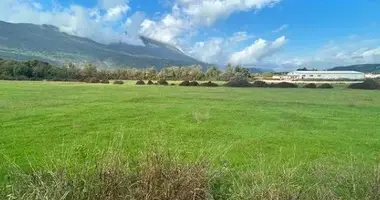 Terrain dans Municipalité de Danilovgrad, Monténégro