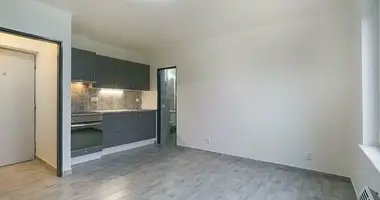 1 bedroom apartment in Zizice, Czech Republic