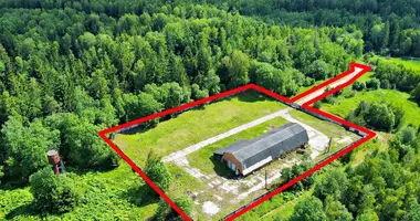 Commercial property 478 m² in Januskavicki sielski Saviet, Belarus