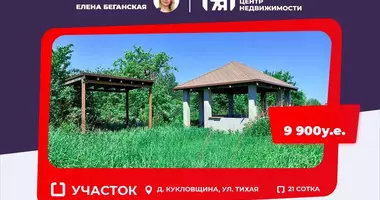Dom w Ciurliouski sielski Saviet, Białoruś