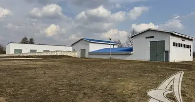 Zakład produkcyjny 1 460 m² w Vielikarycki siel ski Saviet, Białoruś