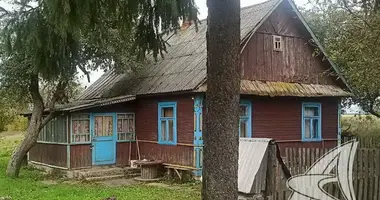 Maison dans Minkavicy, Biélorussie