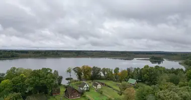 Dom w Naracki siel ski Saviet, Białoruś