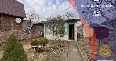 Haus in Piekalinski siel ski Saviet, Weißrussland