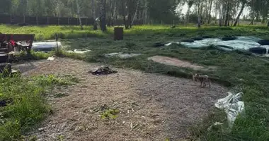 Parcela en Dukorski sielski Saviet, Belarús