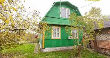 House in Luhavaslabadski sielski Saviet, Belarus