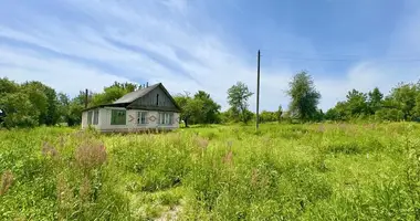 House in Piarsajski sielski Saviet, Belarus