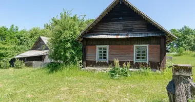 House in Vindziunai, Lithuania