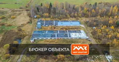 Grundstück in Rahinskoe gorodskoe poselenie, Russland