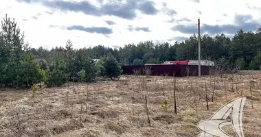 Casa en Muchaviecki sielski Saviet, Bielorrusia