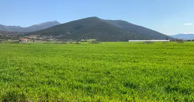 Grundstück in Vasilika, Griechenland