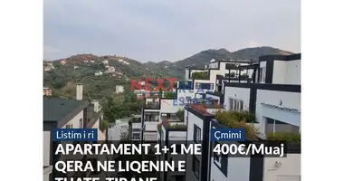 1 bedroom apartment in Tirana Municipality, Albania