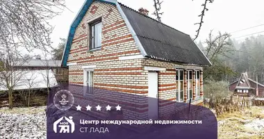 House in Piatryskauski sielski Saviet, Belarus