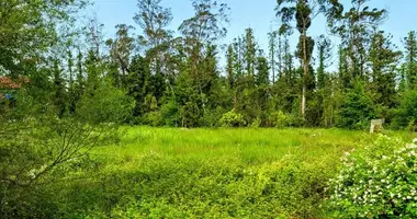 Участок земли в Village Ozurgeti, Грузия