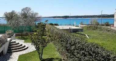 Вилла   с парковкой, с видом на море, с террасой в Sisan, Хорватия